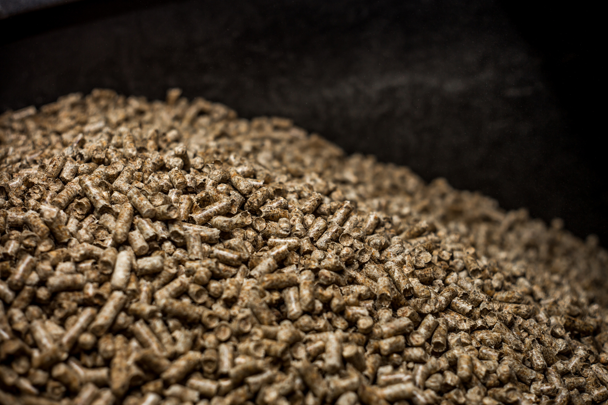 Caldaia policombustibile