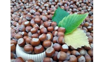 La granella di nocciole per un touche d'élégance al tuo cake design