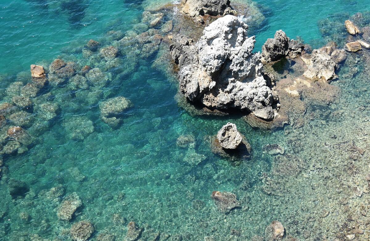 flora e fauna dell'arcipelago delle Pelagie